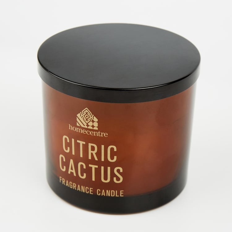 Enchanted Citrus Cactus Scented Jar Candle