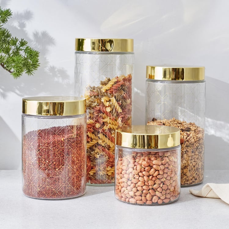 Travis Set of 4 Glass Printed Canisters with Lid