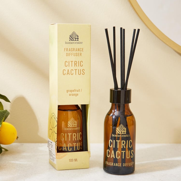 Enchanted Citric Cactus Reed Diffuser Set