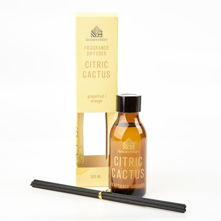 Enchanted Citric Cactus Reed Diffuser Set