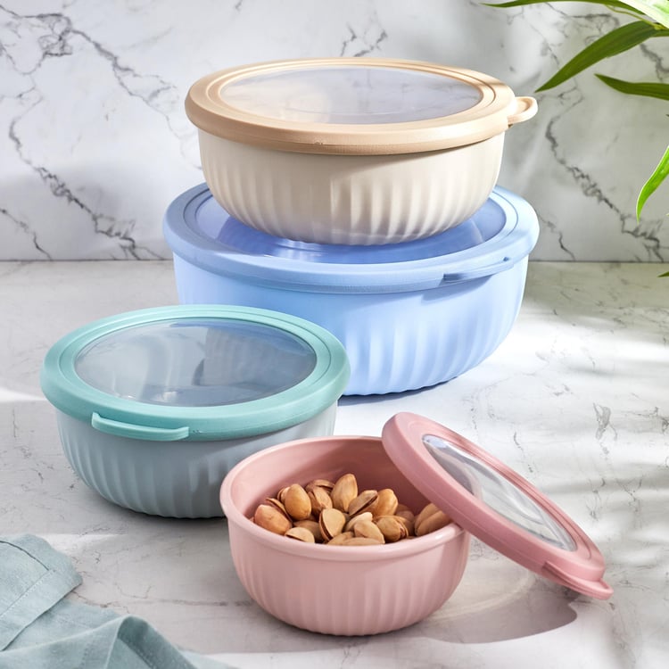 Omnis Aruba Set of 4 Storage Containers