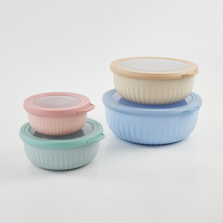 Omnis Aruba Set of 4 Storage Containers