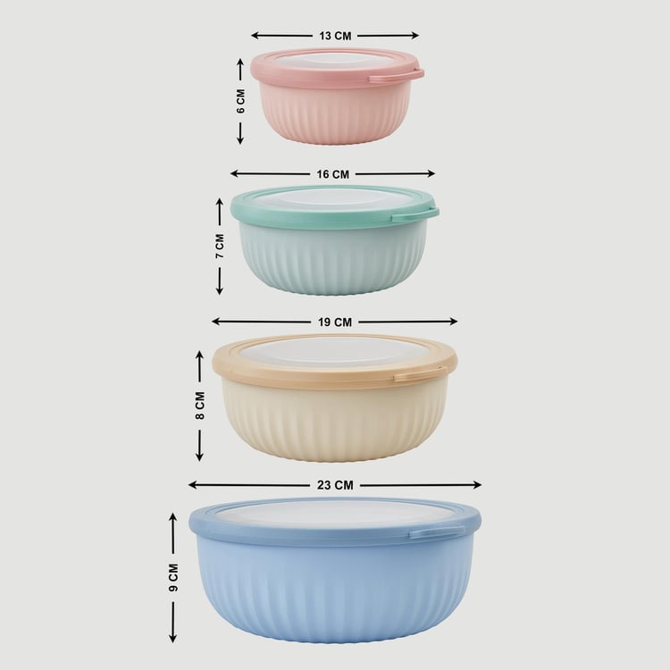 Omnis Aruba Set of 4 Storage Containers