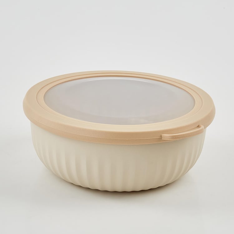 Omnis Aruba Set of 4 Storage Containers