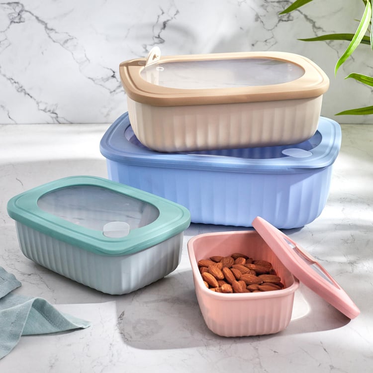 Omnis Aruba Set of 4 Storage Containers