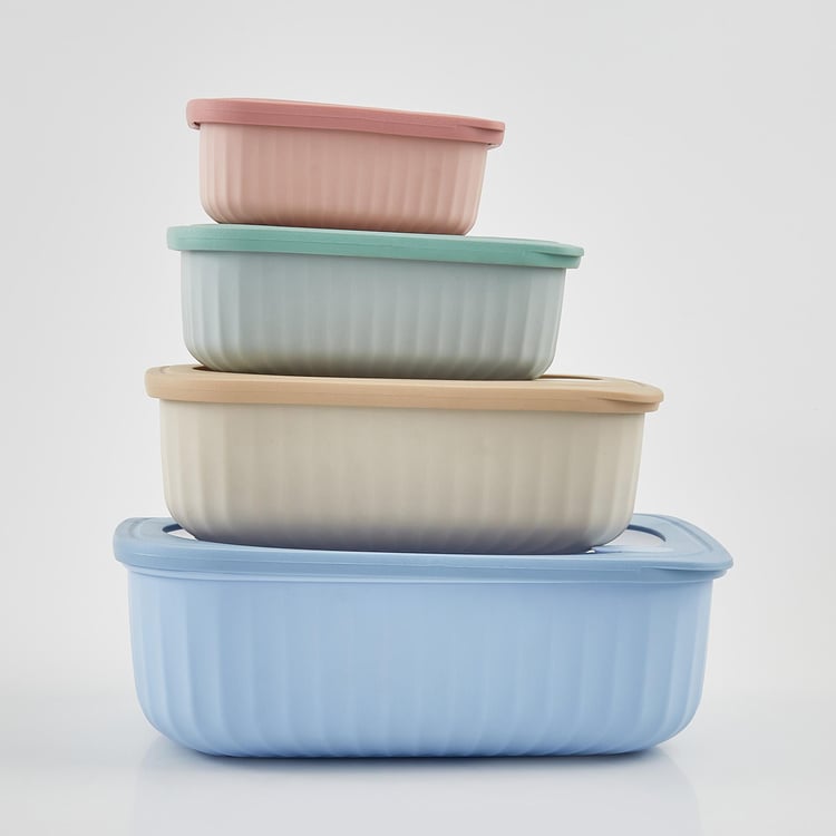 Omnis Aruba Set of 4 Storage Containers