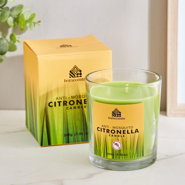 Enchanted Citronella Scented Jar Candle