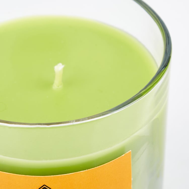 Enchanted Citronella Scented Jar Candle