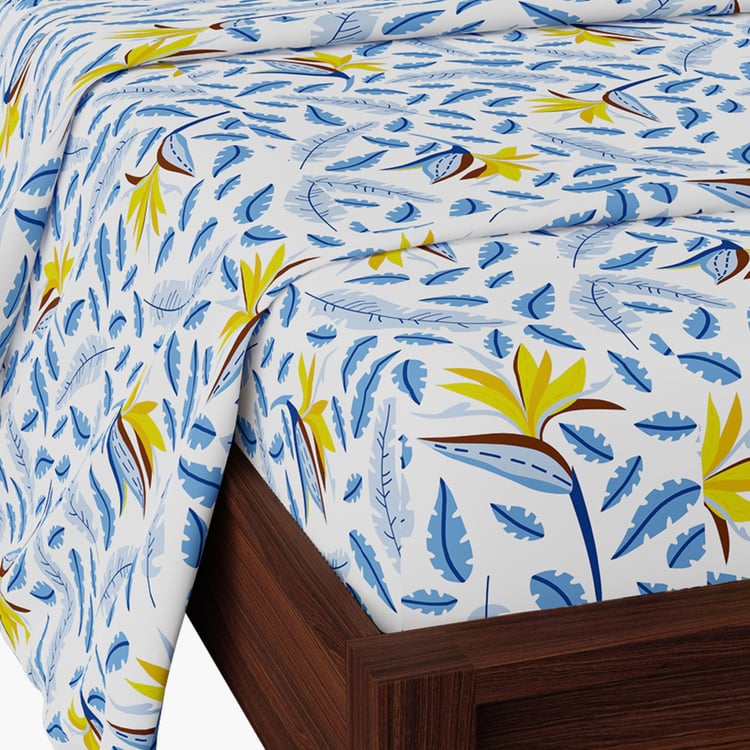 STELLAR HOME Valentina Cotton 140TC Printed 3Pcs King Fitted Bedsheet Set