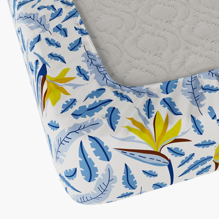 STELLAR HOME Valentina Cotton 140TC Printed 3Pcs King Fitted Bedsheet Set