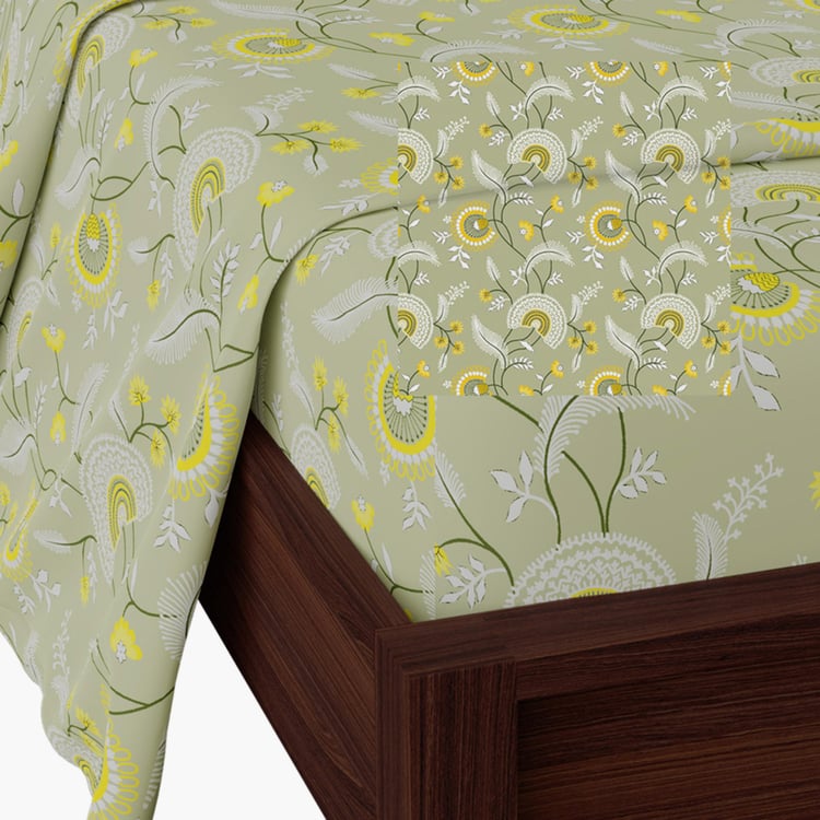 STELLAR HOME Lilly Cotton 104TC Printed 3Pcs King Fitted Bedsheet Set