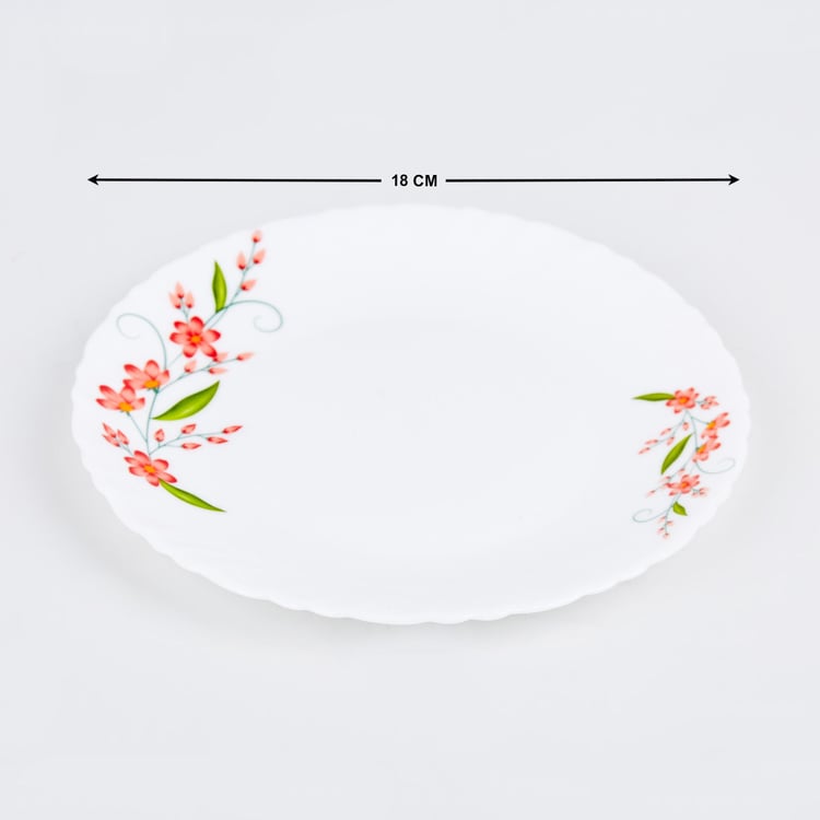 Velox Creeper 20Pcs Opalware Dinner Set