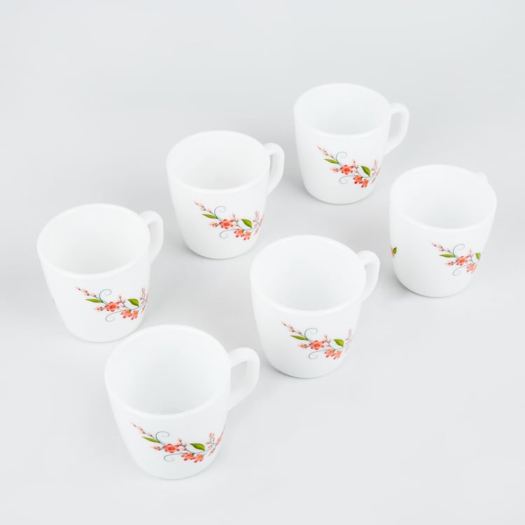 Velox Creeper Set of 6 Opalware Printed Mugs - 180ml