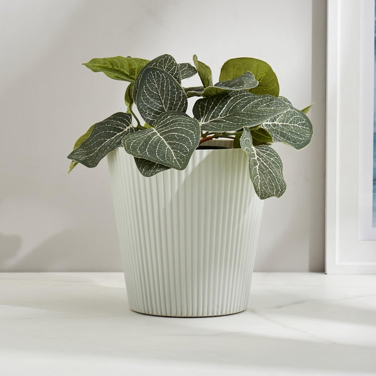 Lets Garden Radicle Ribbed Planter