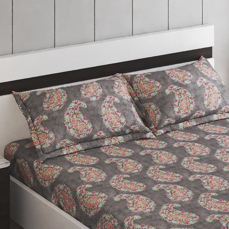 Amaya Ellis Cotton 150TC Printed 3Pcs King Fitted Bedsheet Set