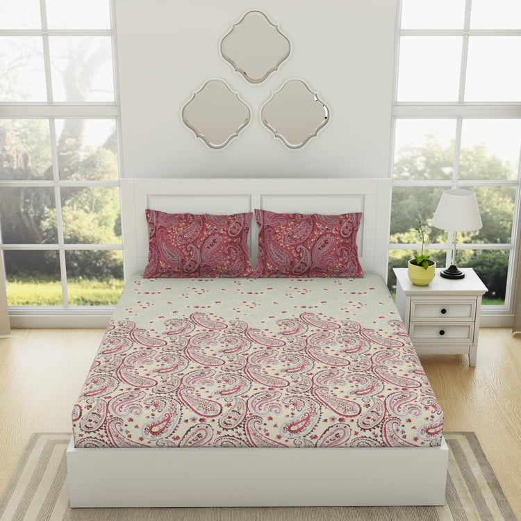 SPACES Essentials Cotton 144TC Printed 3Pcs King Fitted Bedsheet Set