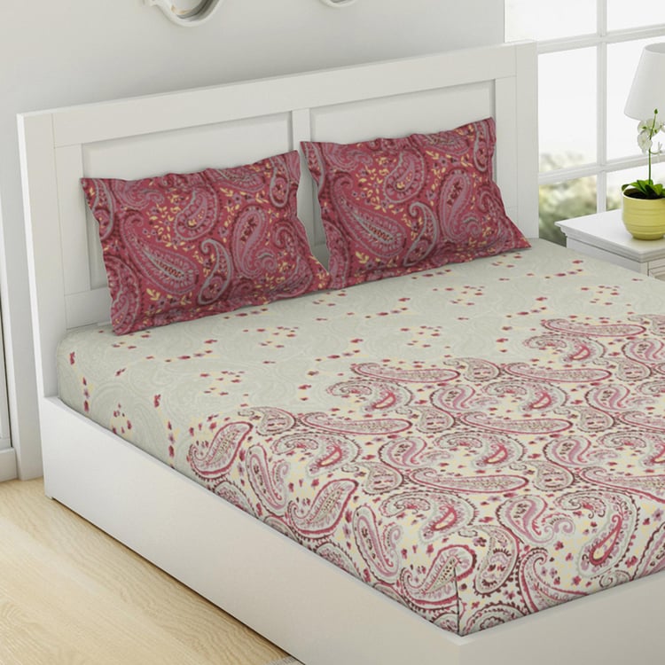 SPACES Essentials Cotton 144TC Printed 3Pcs King Fitted Bedsheet Set