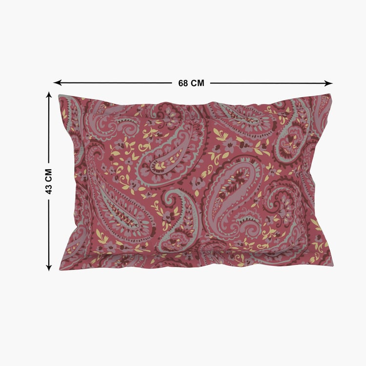 SPACES Essentials Cotton 144TC Printed 3Pcs King Fitted Bedsheet Set