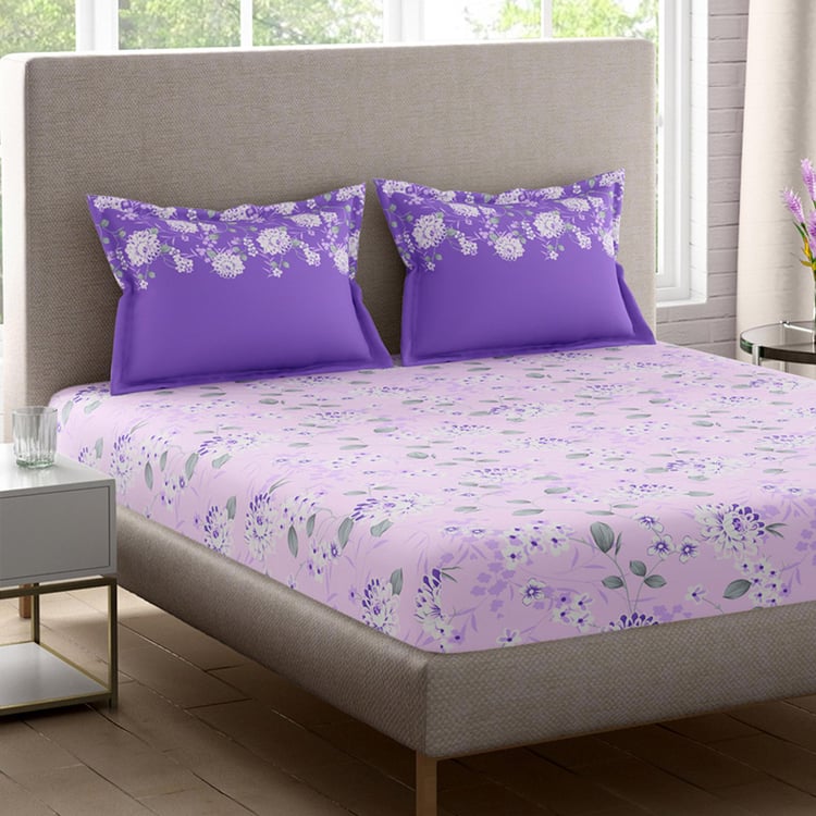 Buy PORTICO Sparkle Cotton 128TC Printed 3Pcs Queen Bedsheet Set from