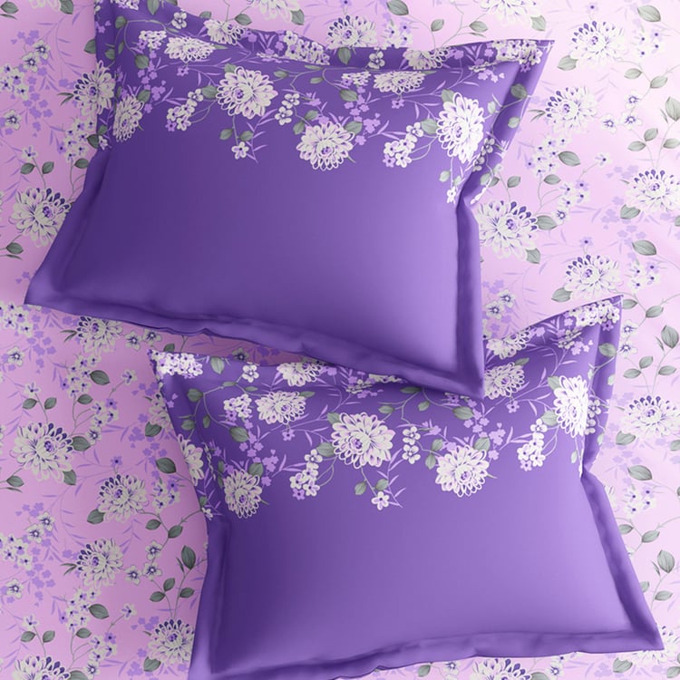 Buy PORTICO Sparkle Cotton 128TC Printed 3Pcs Queen Bedsheet Set from