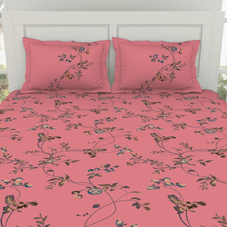 SPACES Essentials Cotton 144TC Printed 3Pcs Super King Bedsheet Set