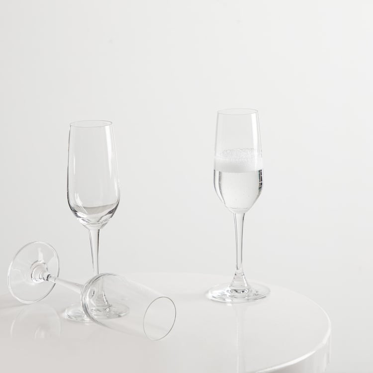 OCEAN 3-piece Lexington Champagne Flute Set- 185 ml