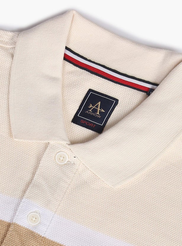 ARROW SPORT Men Striped Regular Fit Polo T-shirt