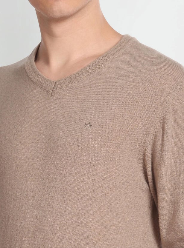 ARROW SPORT Men Solid V-neck Sweater