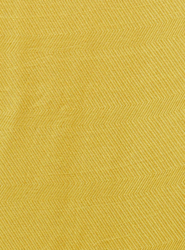 MAX Women Textured Tassel Detailed Scarf