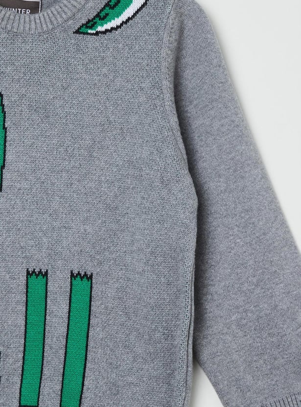 Boys Printed Crew Neck Sweater