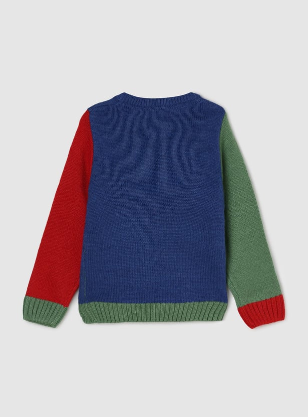 Boys Crocodile Printed Medium Sweater