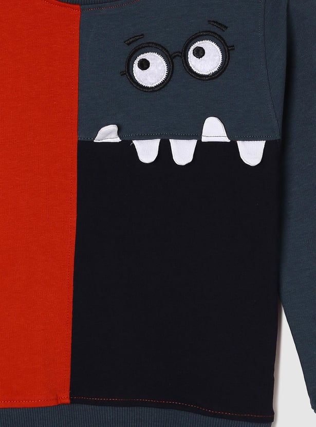 Boys Embroidered Crew Neck Sweatshirt