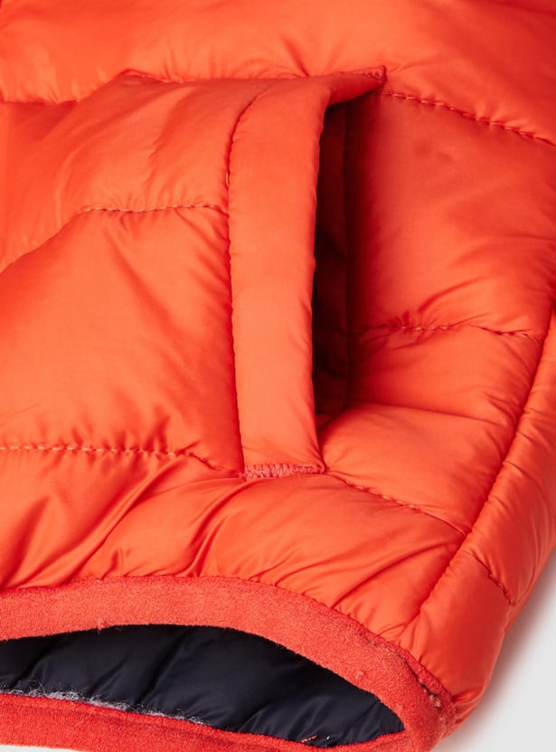 Boys Quilted Hooded Puffer Jacket