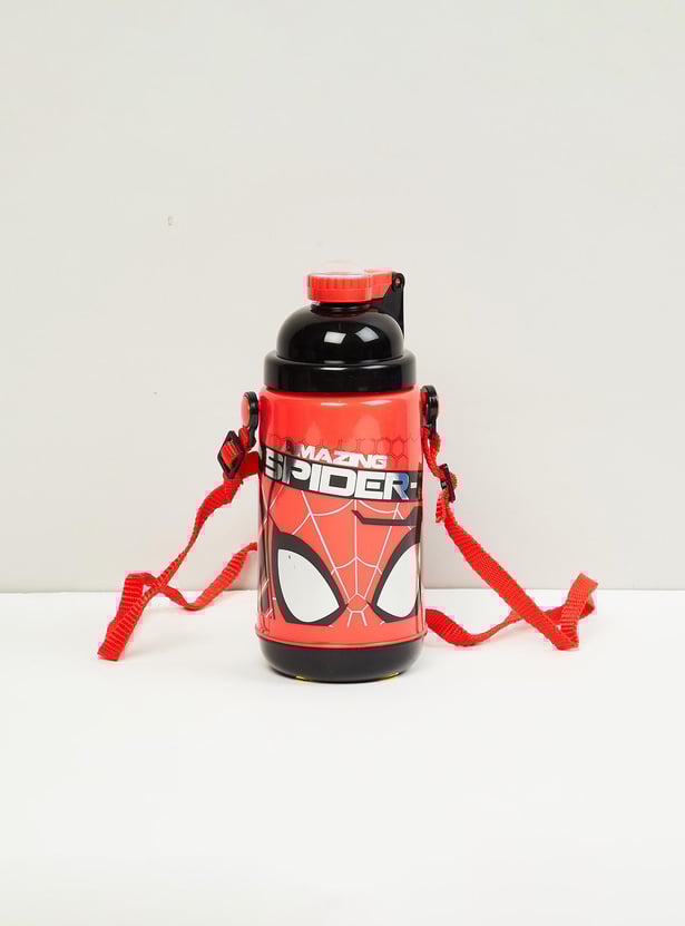 Kids Printed Insulated Sipper Water Bottle