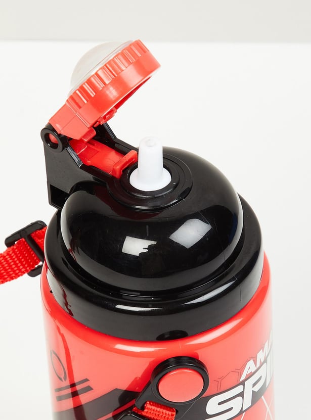 Kids Printed Insulated Sipper Water Bottle