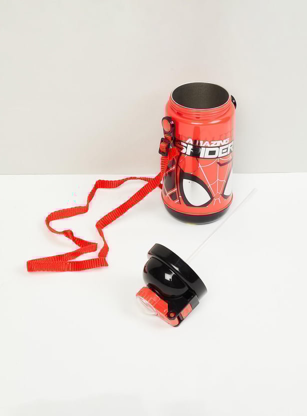 Kids Printed Insulated Sipper Water Bottle