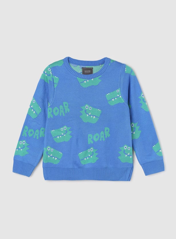 Boys Graphic Printed Sweater