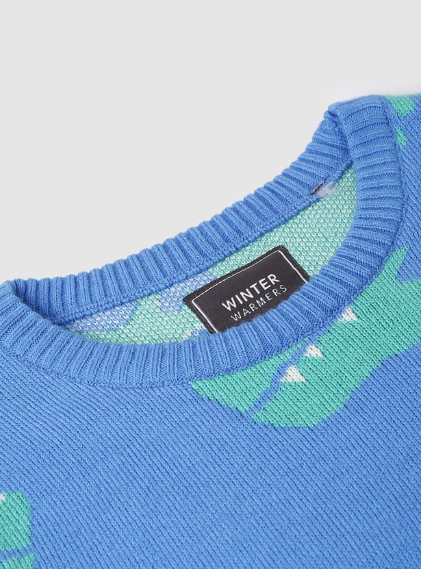 Boys Graphic Printed Sweater