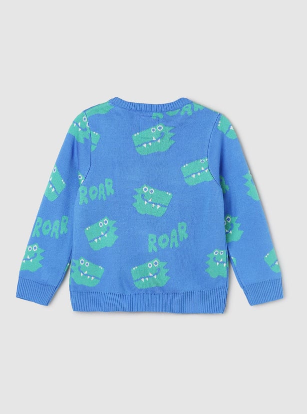 Boys Graphic Printed Sweater