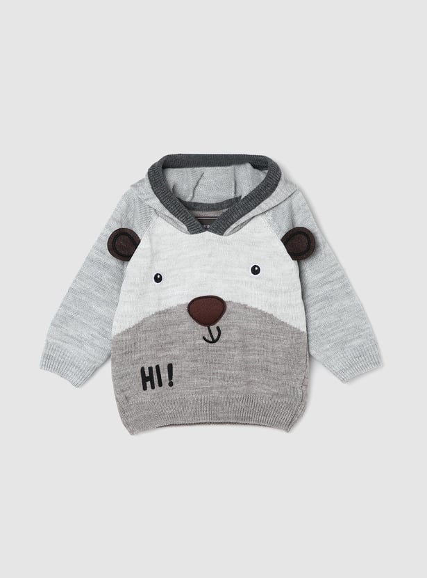 Boys Embroidered Hooded Sweater