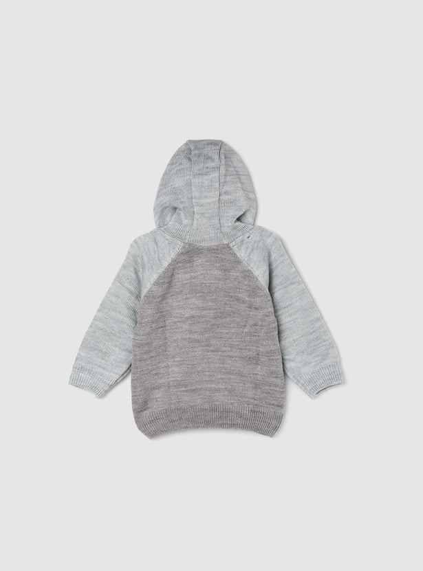 Boys Embroidered Hooded Sweater