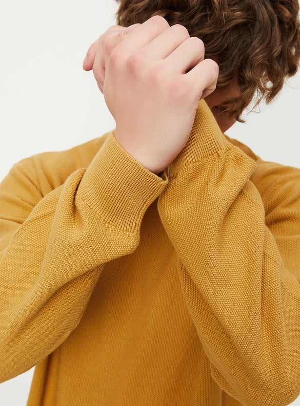 Men Knitted Slim Fit Sweater