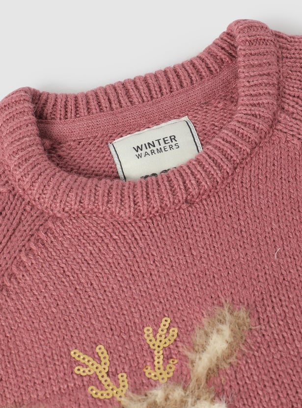 Girls Applique Detail Sweater