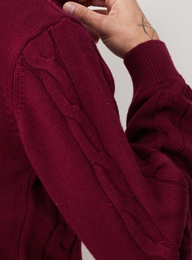 Men Slim Fit Cable Knit Sweater