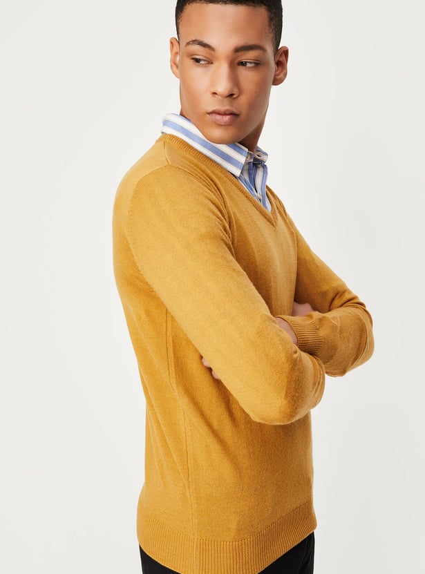 Men Slim Fit Solid Sweater
